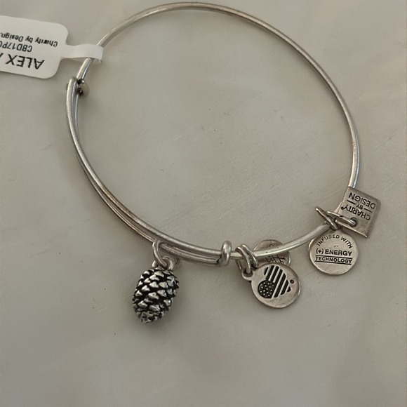 Alex & Ani pine cone bracelet - Picture 2 of 2